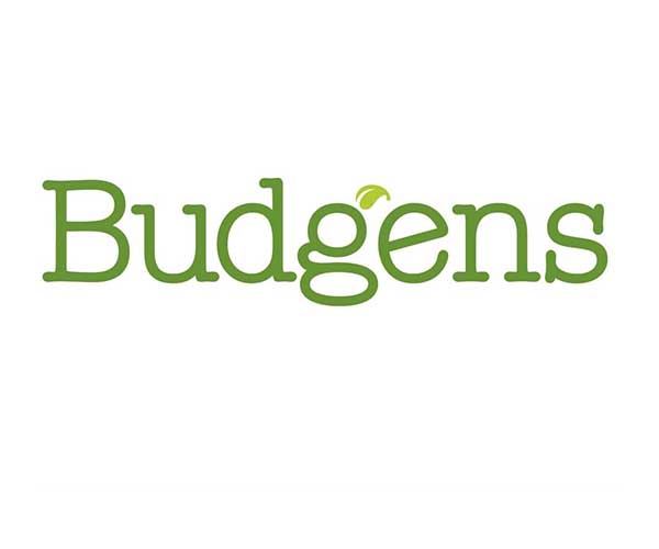 Budgens in Basingstoke, 374 Worting Road Opening Times