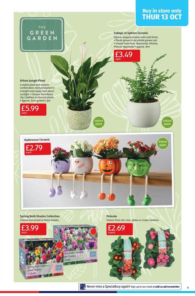 0011 aldi%20offers%2009%20 %2016%20oct%202022