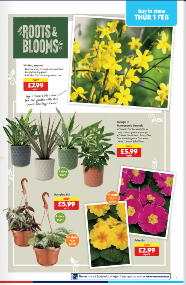 11 aldi%20offers%2001%20 %2004%20feb%202024