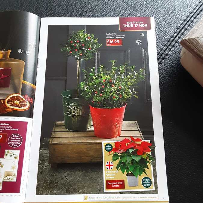 11 aldi%20offers%2010%20 %2017%20nov%202022%20%28photo%29