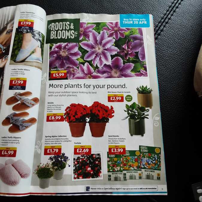 11 aldi%20offers%2016%20 %2023%20apr%202023%20%28photo%29