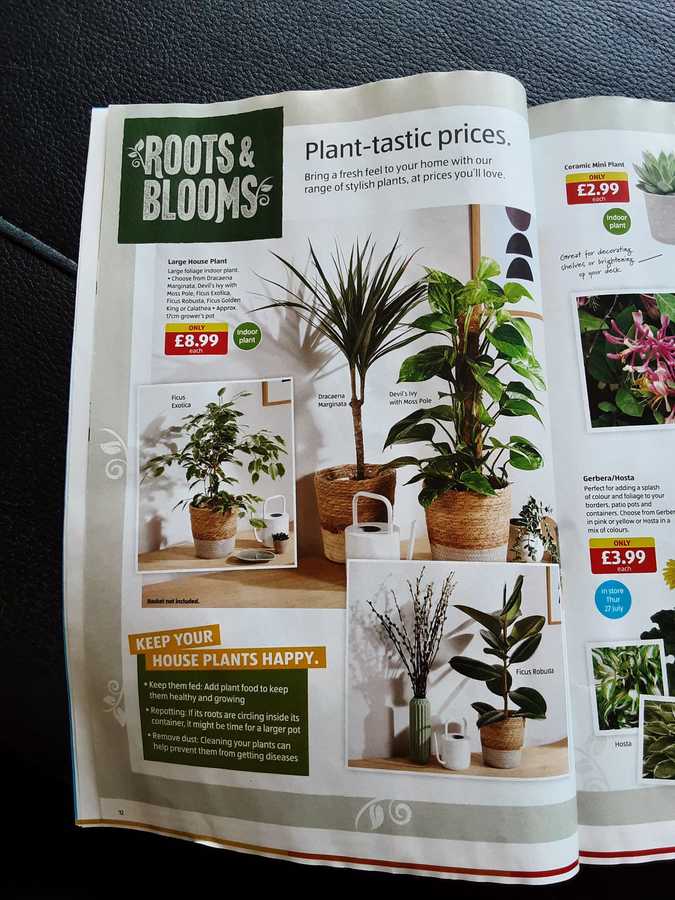 12 aldi%20offers%2023%20 %2030%20jul%202023%20%28photo%29