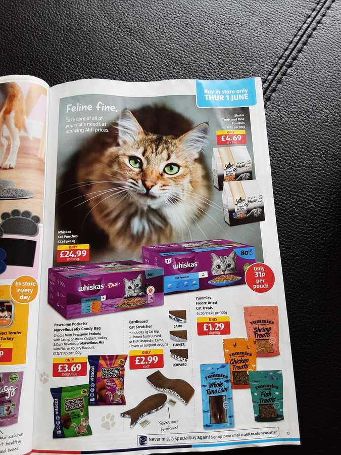 13 aldi%20offers%2028%20may%20 %2004%20june%202023%20%28photo%29