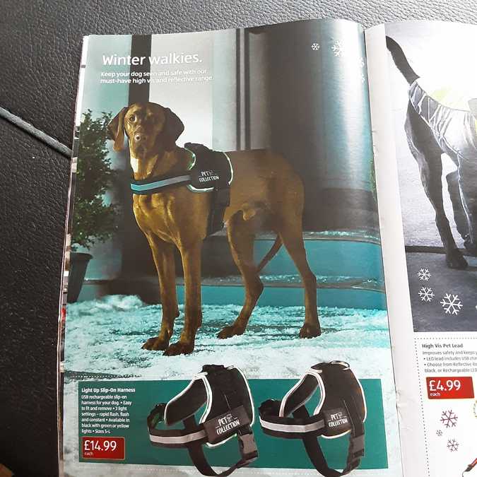 18 aldi%20offers%2010%20 %2017%20nov%202022%20%28photo%29
