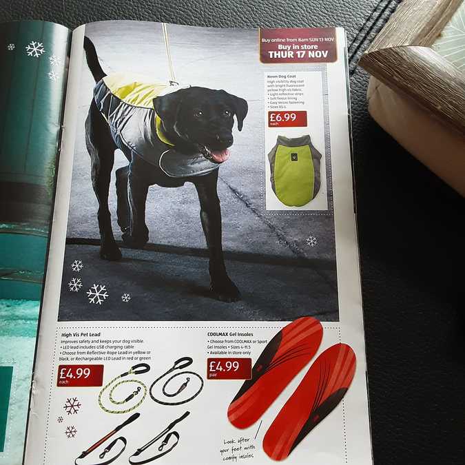 19 aldi%20offers%2010%20 %2017%20nov%202022%20%28photo%29