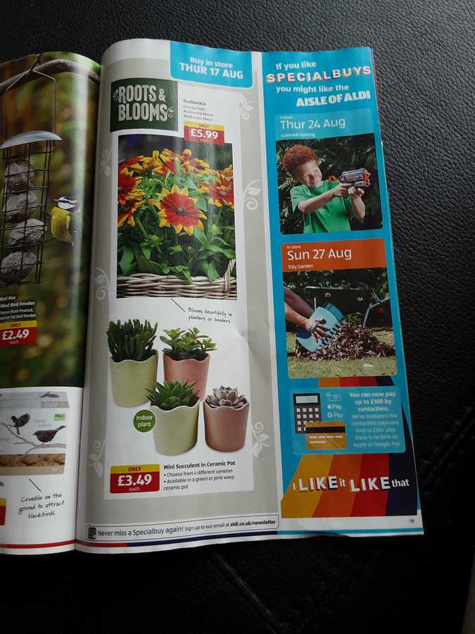 19 aldi%20offers%2013%20 %2020%20aug%202023%20%28photo%29