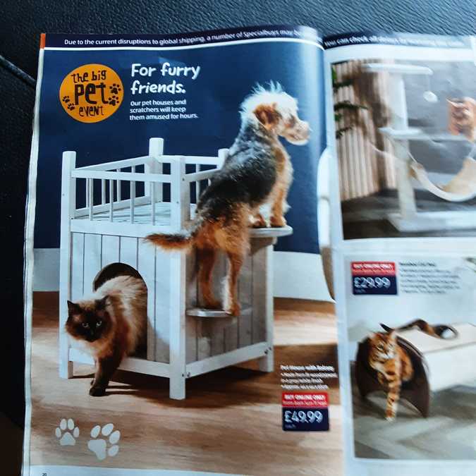 20 aldi%20offers%2011%20 %2018%20sep%202022