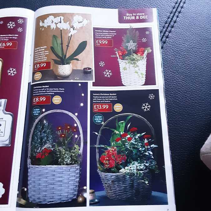 21 aldi%20offers%2004%20 %2011%20dec%202022%20%28photo%29