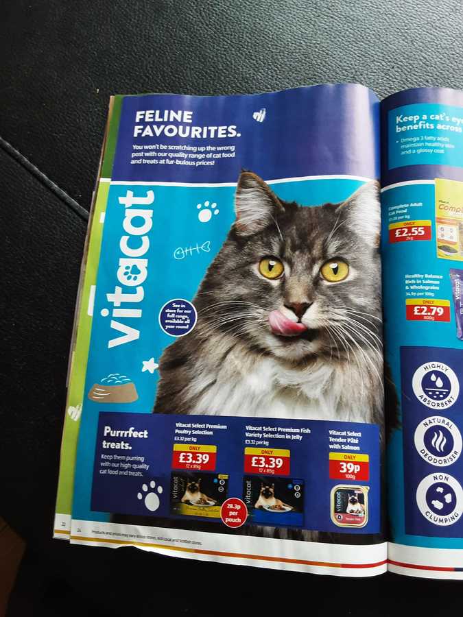 24 aldi%20offers%2013%20 %2020%20aug%202023%20%28photo%29