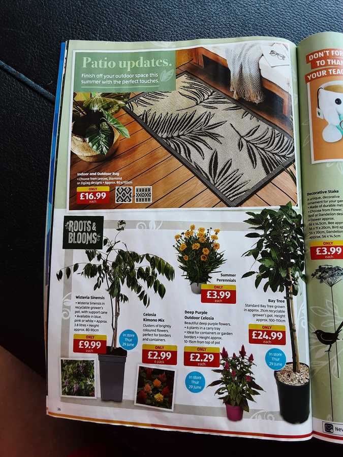 25 aldi%20offers%2025%20jun%20 %2002%20jul%202023%20%28photo%29