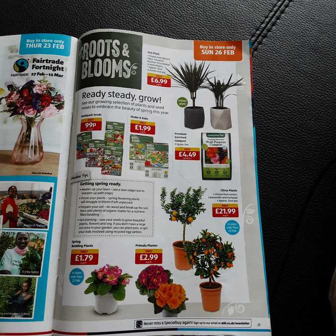 26 aldi%20offers%2019%20 %2026%20feb%202023%20%28photo%29