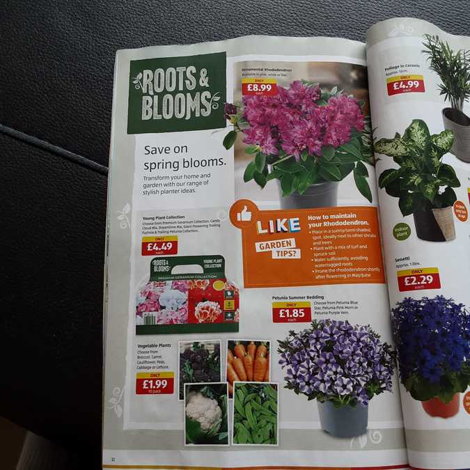 32 aldi%20offers%2009%20 %2016%20apr%202023%20%28photo%29