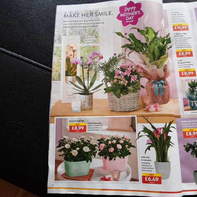 6 aldi%20offers%2012%20 %2019%20mar%202023%20%28photo%29