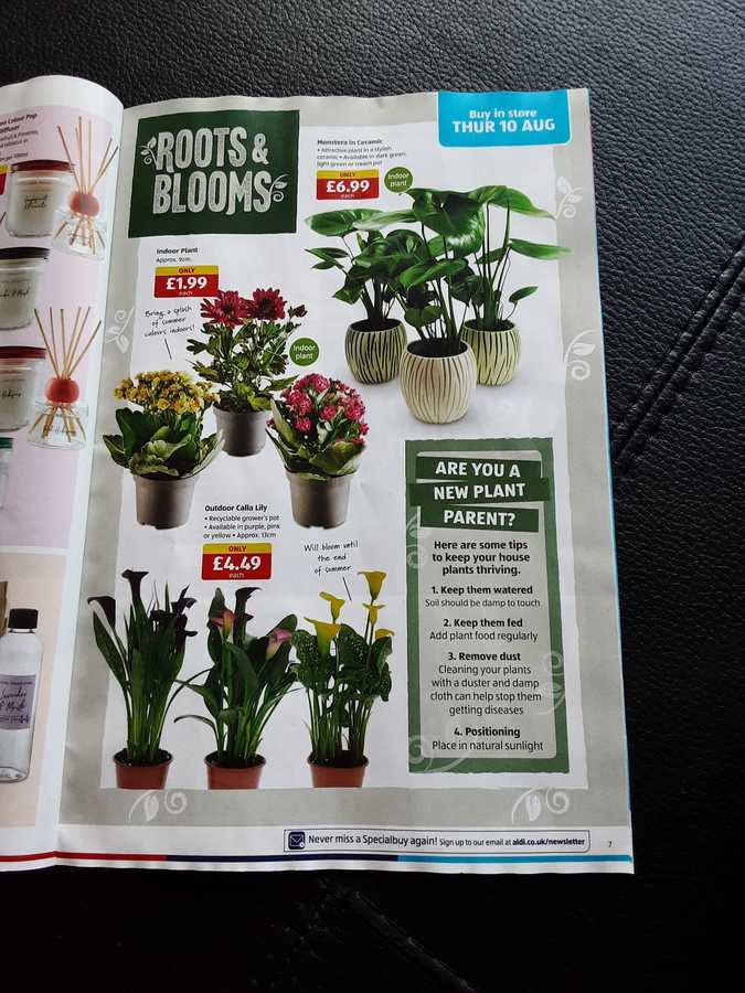 7 aldi%20offers%2006%20 %2013%20aug%202023%20
