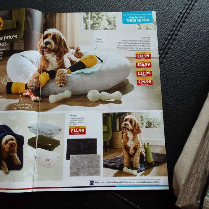 7 aldi%20offers%2012%20 %2019%20feb%202023%20%28photo%29