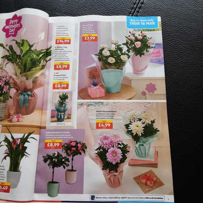 7 aldi%20offers%2012%20 %2019%20mar%202023%20%28photo%29