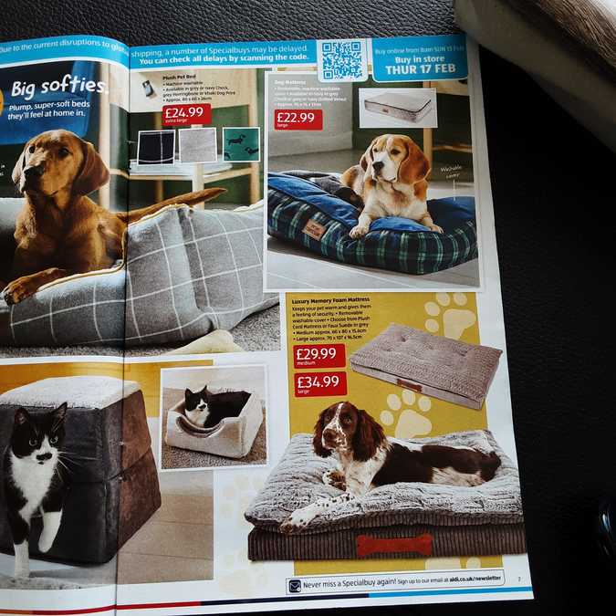 7 aldi%20offers%2013%20 %2020%20feb%202022%20%28photo%29