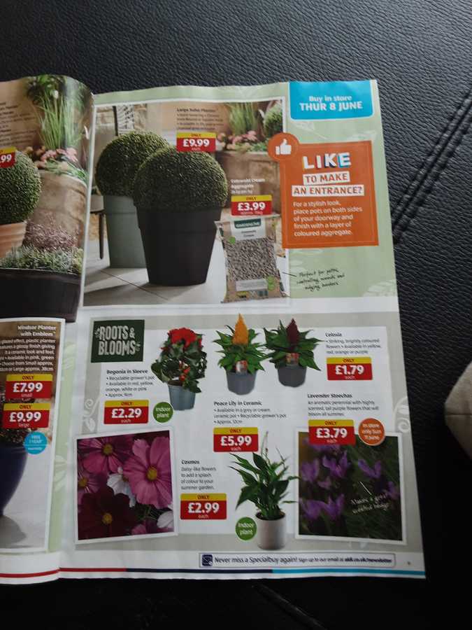 9 aldi%20offers%2008%20 %2011%20jun%202023%20