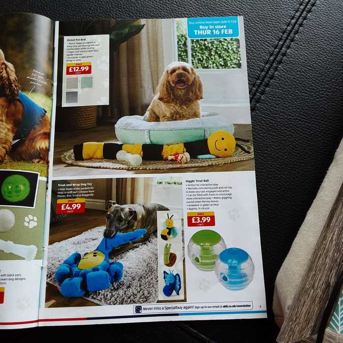 9 aldi%20offers%2012%20 %2019%20feb%202023%20%28photo%29