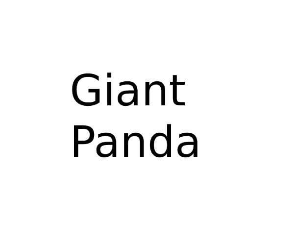Giant Panda in Elson, Gosport Opening Times
